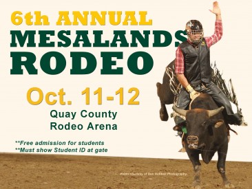 Annual Rodeo SIS Slide