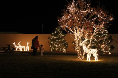 Lighting (41)