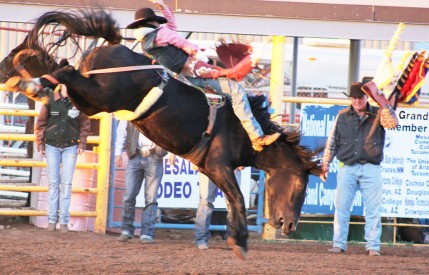 Sophomore Edmiles Harvey, at the 7th Annual Mesalands Community College Grand Canyon Region Intercollegiate Rodeo. Harvey has secured his ticket to the 2015 CNFR in bareback riding. He is currently second in the region.