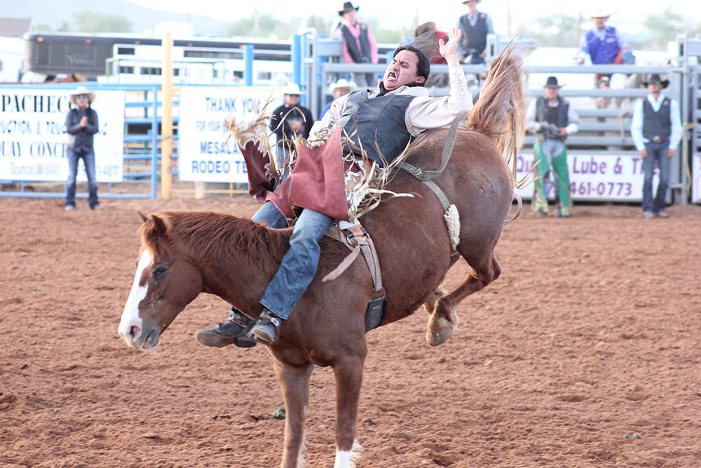 Rodeo Team crowned reserve champions and wins bareback riding