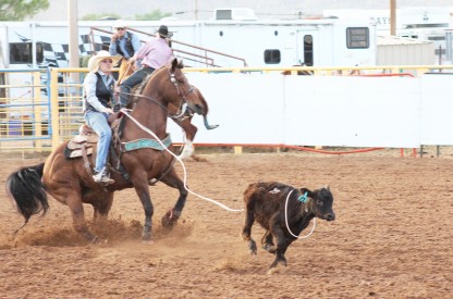 Sharli MacDonald had a strong performance at the Mesalands Spring Rodeo and she placed fourth in the average in breakaway roping. She is currently 5th in the Grand Canyon Region.