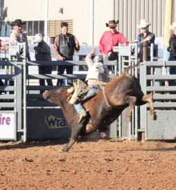 Kenneth “Blue” Wilcox, a member of the Mesalands Rodeo Team, electrified the bull riding event at the 9th Annual Mesalands Grand Canyon Region Intercollegiate Fall Rodeo. He was crowned bull riding champion at the rodeo and is now leading in the regional standings.