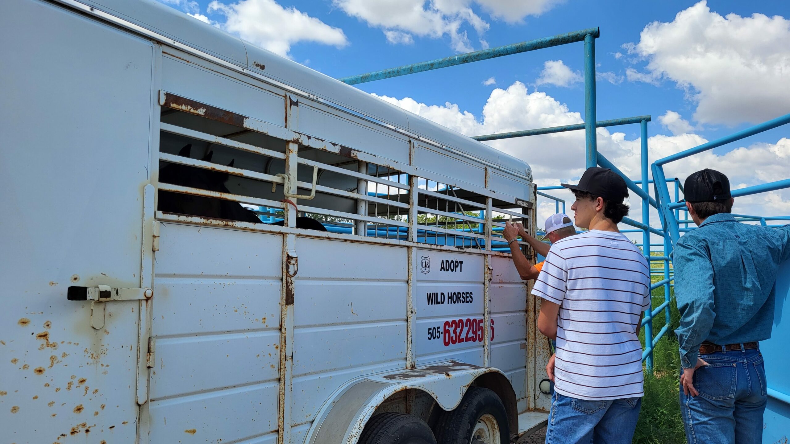 Agri-business students in a ranch learning about the fundamentals of agriculture